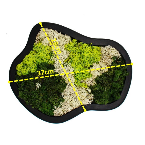 Detailaufnahme eines Sonnenschirms mit Kurbelmechanismus zur einfachen Bedienung.