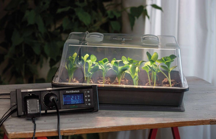 Romberg Climatic M LED Zimmergewächshaus – Indoor-Farming mit 5W LED Beleuchtung, Heizmatte & Thermostat, Lebensmittelecht, Made in Germany