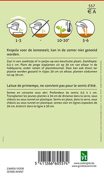 Anweisungen zum Anbau von Pflücksalat