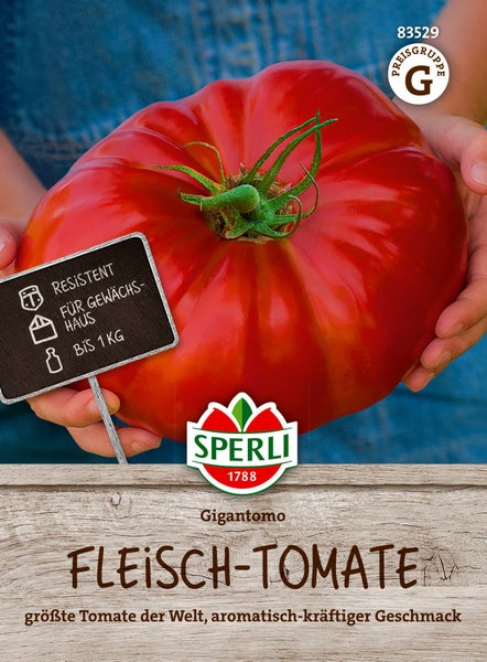 Sperli Gigantomo Fleischtomate Saatgut für große, aromatische Tomaten mit bis zu 1 Kilogramm Gewicht, geeignet für das Gewächshaus.