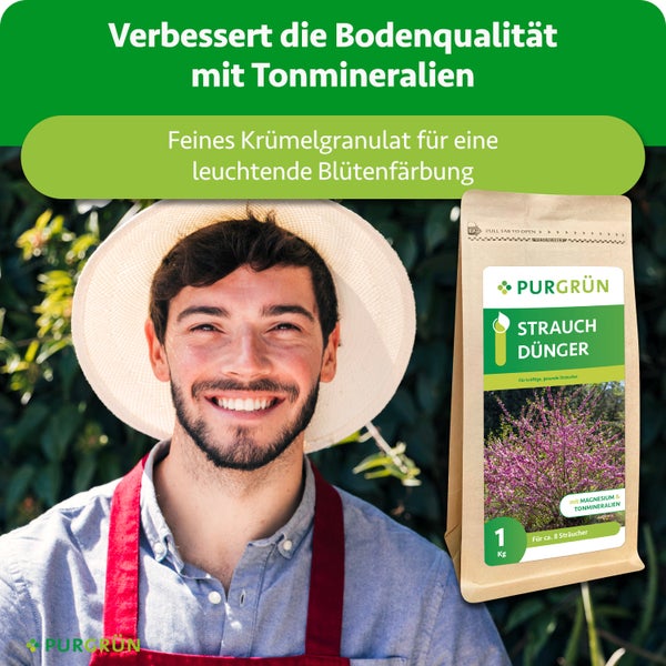 Infografik zu Purgrün Pflanzendünger mit blühendem Strauch: Magnesium gegen Blattverfärbung, Tonmineralien und Kalium für Stabilität. Purgrün Logo.