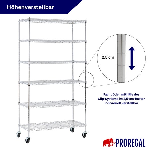 Metall-Drahtregal auf Rollen mit sechs Fachböden, die im 2,5-Zentimeter-Raster höhenverstellbar sind. Proregal Logo.