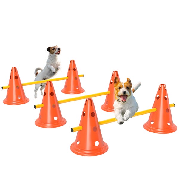 Agility Set für Hunde bestehend aus Pylonen und Hürdenstangen mit zwei springenden Hunden.
