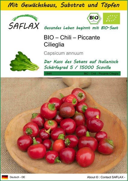SAFLAX Anzucht Set - BIO – Chili – Piccante Cilieglia - Capsicum annuum - 10 Samen - Mit Mini-Gewächshaus, Anzuchtsubstrat und 2 Töpfen