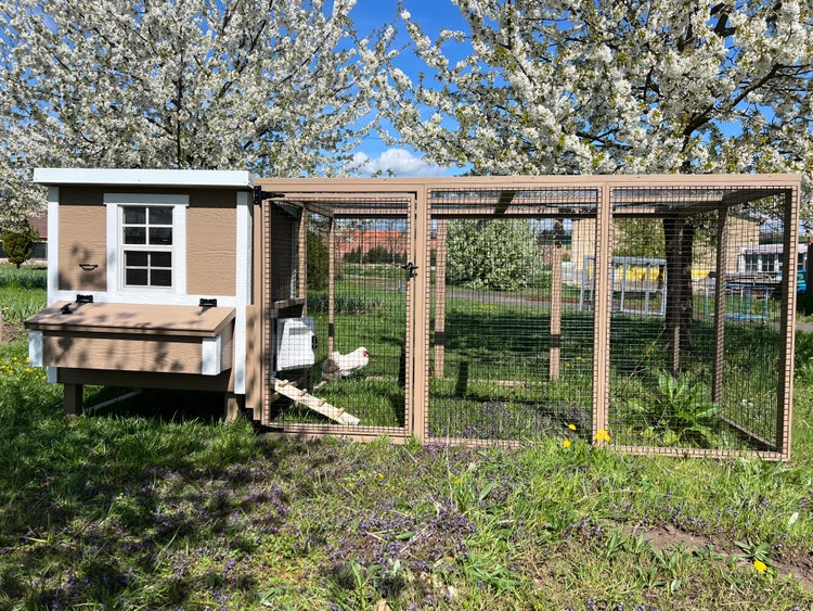 Hühnerauslauf Gross EZ Chicken Home Beige 308 x 300 x 154cm Hergestellt in EU
