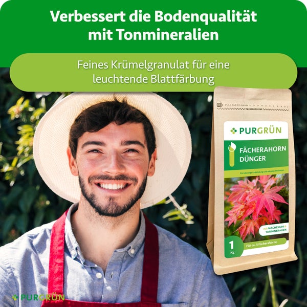 Purgrün Fächerahorn Dünger im 1 Kilogramm Beutel mit Tonmineralien und Magnesium für gesunde Blätter und kräftiges Wachstum.