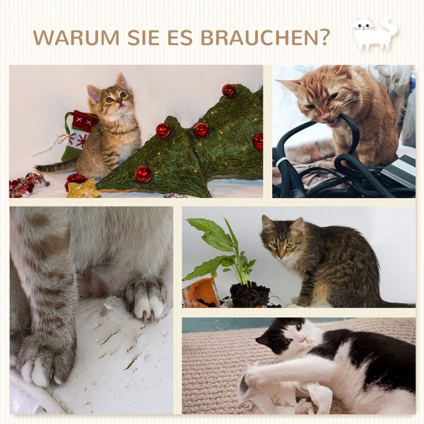 Kollage mit Bildern von Katzen, die an Stromkabeln knabbern, Pflanzen ausgraben und Papier zerreißen.