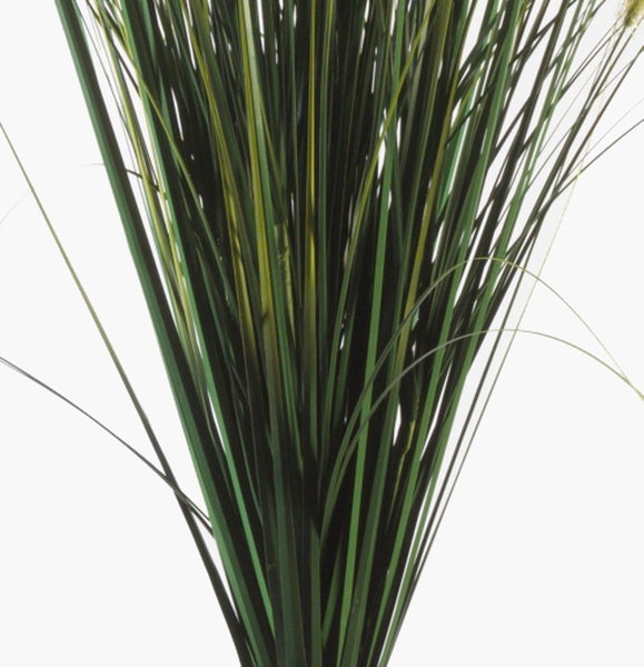 Nahaufnahme einer Kunstpflanze mit langen grünen Blättern und gewellten Rändern.