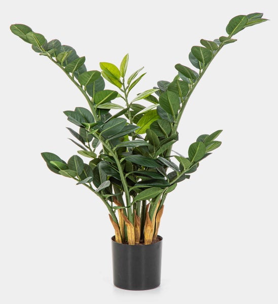 Künstliche Zamioculcas Zimmerpflanze im schwarzen Topf.
