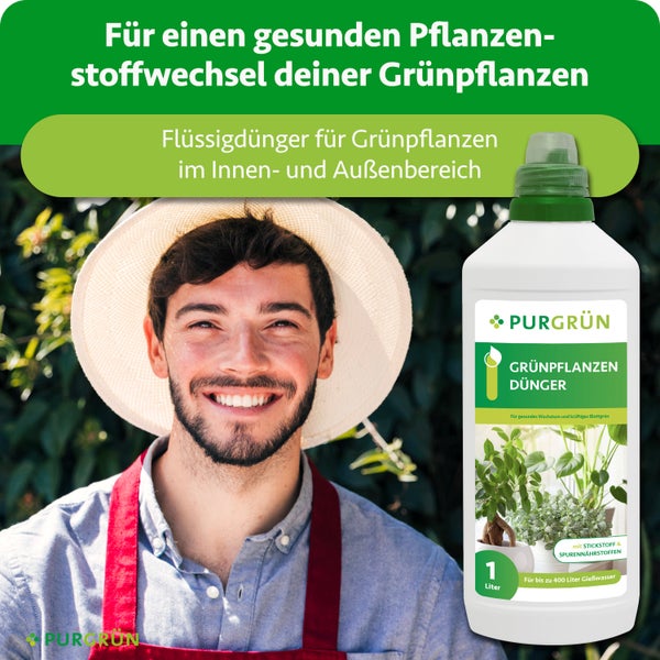 Purgrün Flüssigdünger für Grünpflanzen, 1 Liter Flasche, mit Gärtner im Strohhut, für den Innen- und Außenbereich.