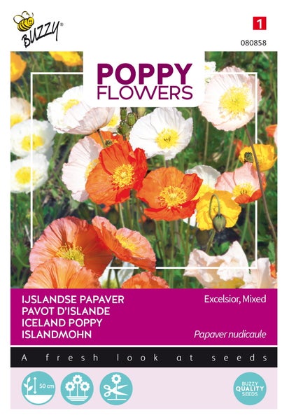 Buzzy Logo Islandsmohn Blumensamen Packung