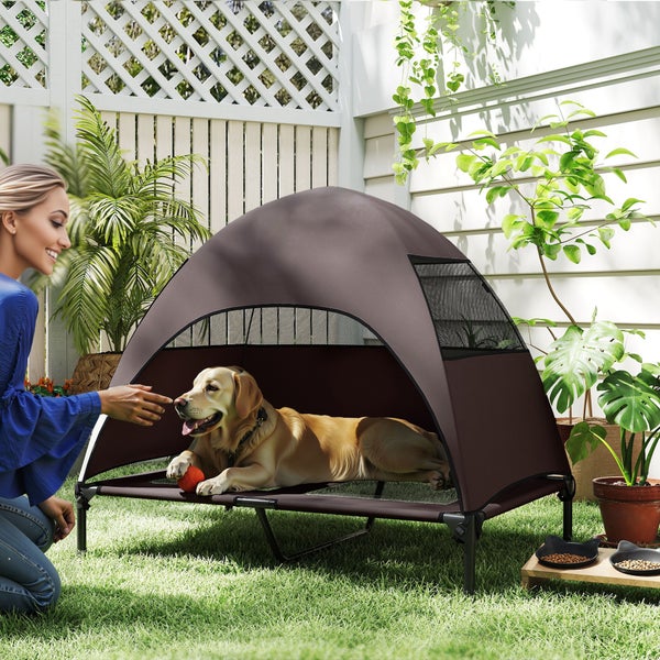 Hund liegt auf einem erhöhten Hundebett mit Überdachung im Garten.