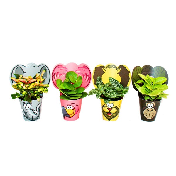 Exotenherz lustiges Zimmerpflanzen Set Animals 4 Pflanzen mit Tieren  ideal als Gastgeschenk für Kindergeburtstage