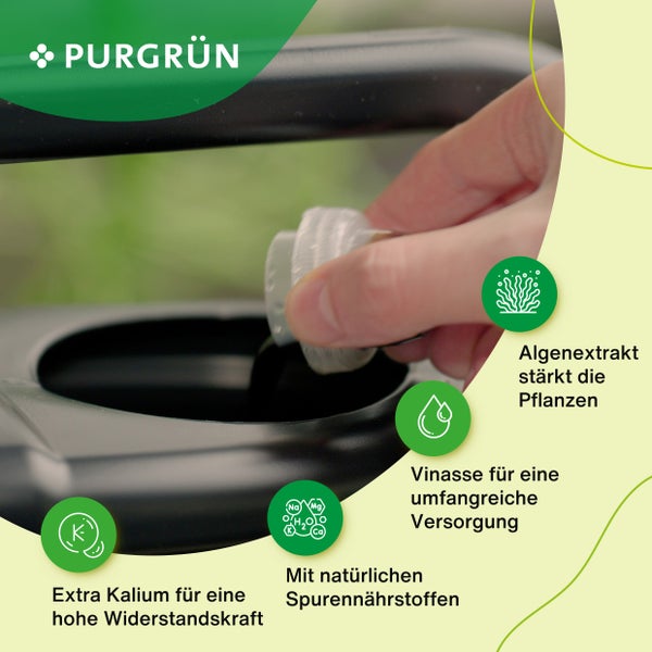 Purgrün Bio-Heidelbeerdünger 1 Liter