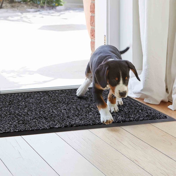 Schmutzfangmatte mit Hund vor einer offenen Tür