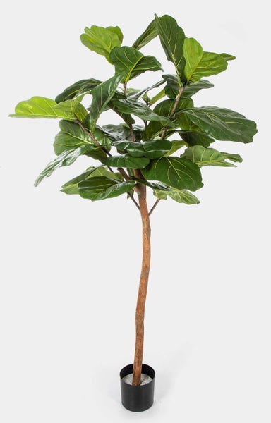Künstliche Geigenfeige Ficus lyrata im schwarzen Kunststofftopf mit großen grünen Blättern.