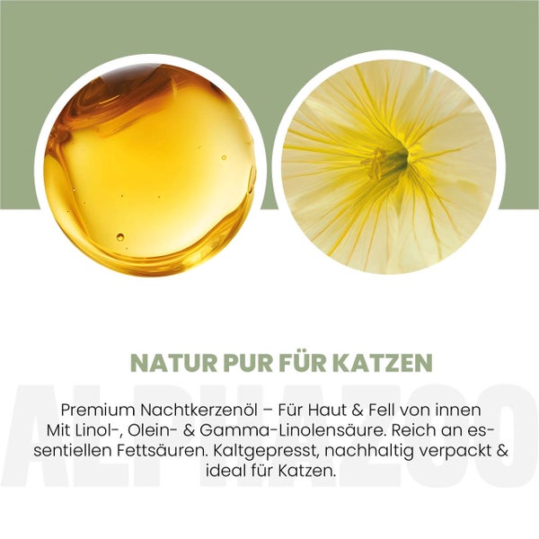 Natur pur für Katzen: Nachtkerzenöl für Haut und Fell, kaltgepresst und nachhaltig verpackt