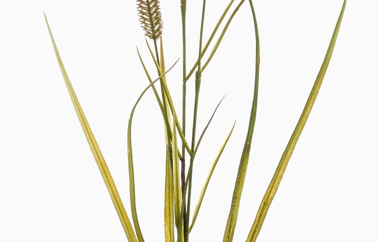 Künstliches Gras mit langen grünen Halmen und einem braunen Blütenstand.