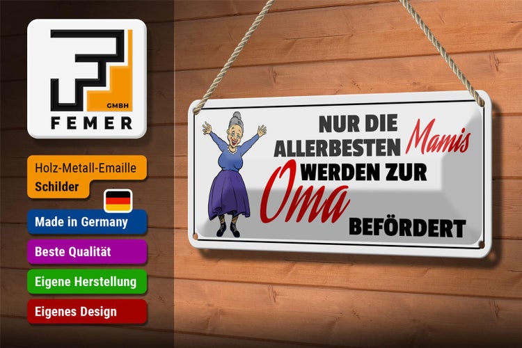 Blechschild Spruch 27x10cm zur Oma befördert Dekoration