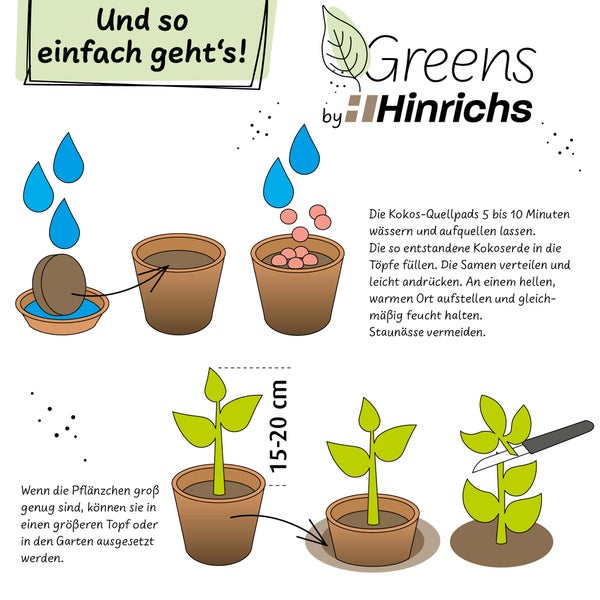 Greens Salat Anzuchtset Gemüse