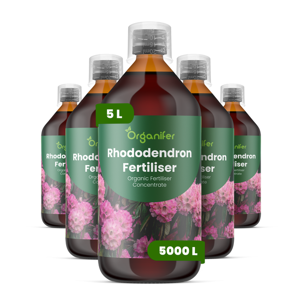 Organifer Rhododendrondünger, organisches Flüssigdüngerkonzentrat, 5 Liter Flasche.