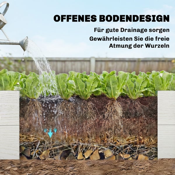 Hochbeet mit offenem Boden für optimale Drainage und Wurzelbelüftung beim Gießen von Salatpflanzen in einer Querschnittansicht.