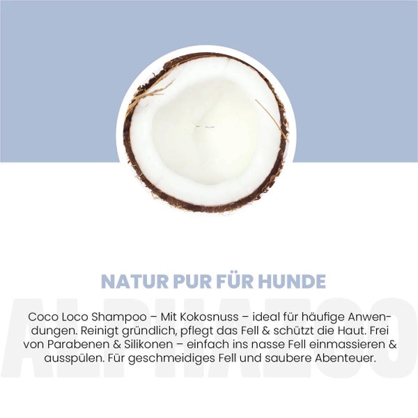 Halbierte Kokosnuss als Inhaltsstoff für Hundeshampoo