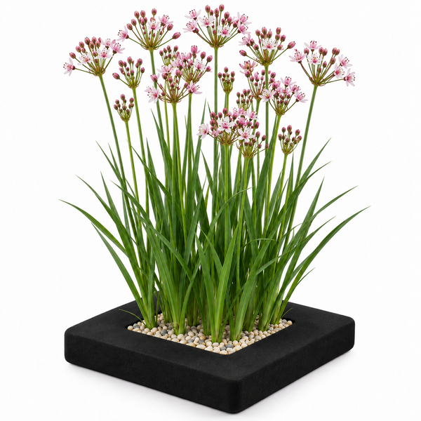 Künstliche Allium Zierlauch Pflanze in quadratischem Topf mit Kieselsteinen zur Dekoration