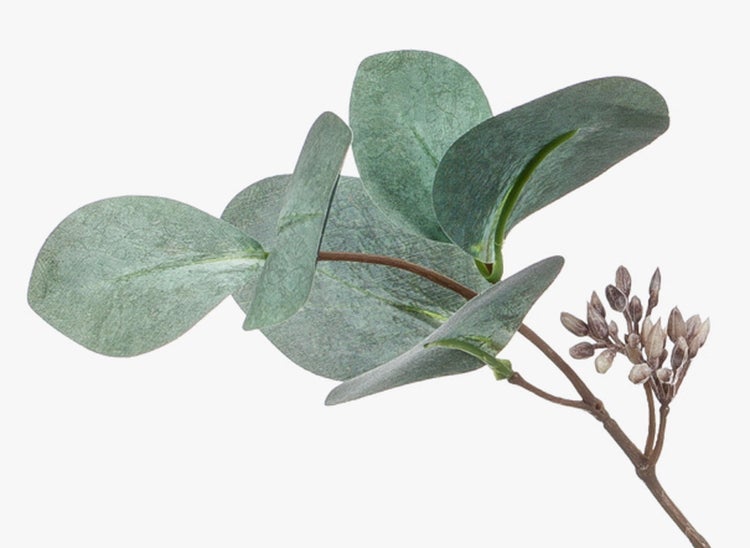 Künstlicher Gummibaum im schwarzen Topf mit großen grünen Blättern.