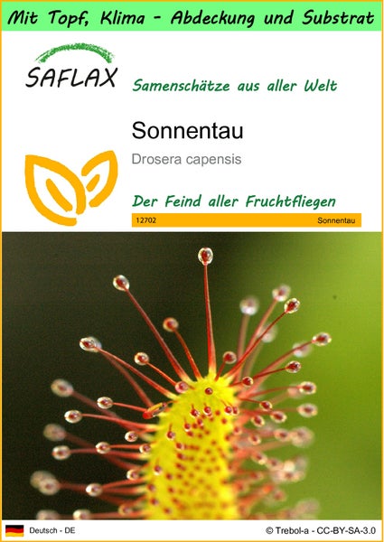 SAFLAX Garden to go - Sonnentau - Drosera capensis - 200 Samen - Mit Topf, Klima - Deckel und Anzuchtsubstrat