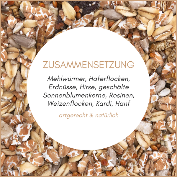 Zusammensetzung von Vogelfutter mit Mehlwürmern, Haferflocken, Erdnüssen, Hirse, Sonnenblumenkernen, Rosinen, Weizenflocken, Kardi und Hanf.
