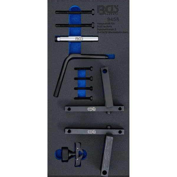 Blütenstand eines Schneeballs