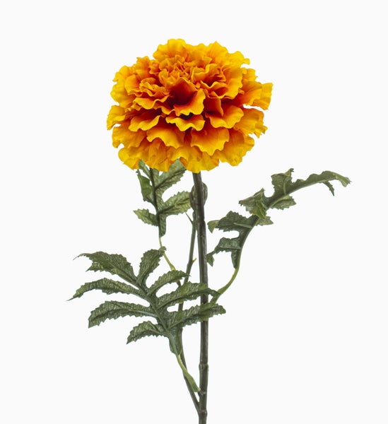 Künstliche Studentenblume mit gelb-orangefarbenen Blütenblättern und grünem Stiel mit gezackten Blättern.