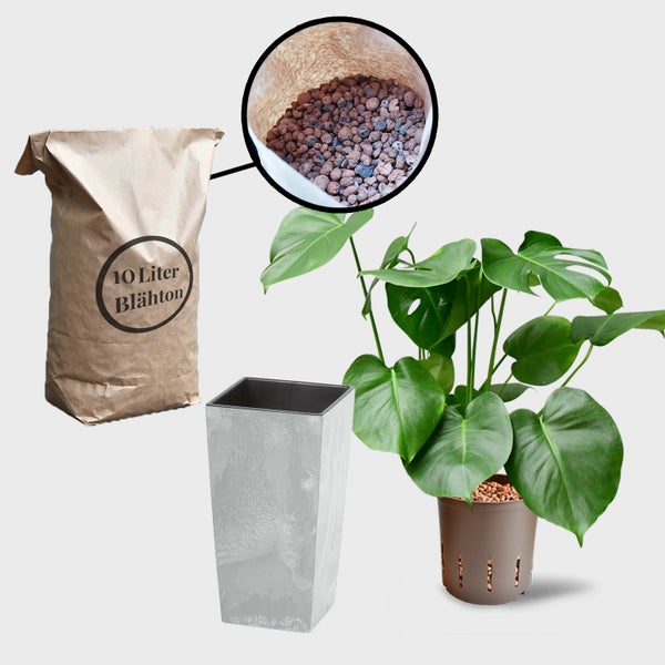 Blähton-Set mit Pflanze, Topf und Blähtonsack