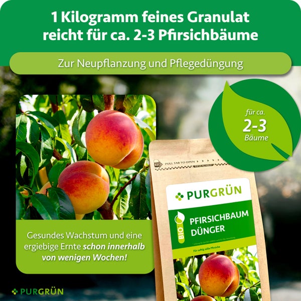 PURGRÜN Bio Pfirsichbaum Dünger, organischer Granulat Dünger für Pfirsichbäume, Packung reicht für circa zwei bis drei Bäume.