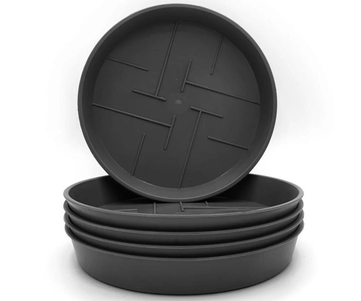 Plastard Untersetzer 5er Set Ø 24 cm Anthrazit - Blumentopf Pflanztopf Kübel