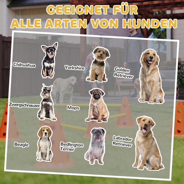 Geeignet für alle Hunderassen wie Chihuahua, Yorkshire, Golden Retriever, Zwergschnauzer, Mops, Beagle, Bedlington Terrier und Labrador Retriever.