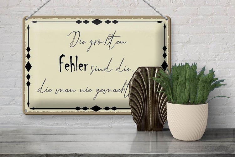 Blechschild Spruch 30x20cm die größten Fehler sind die