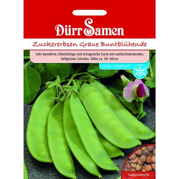 Dekorative Kissen auf einem Sofa arrangiert, schaffen eine gemütliche Atmosphäre.