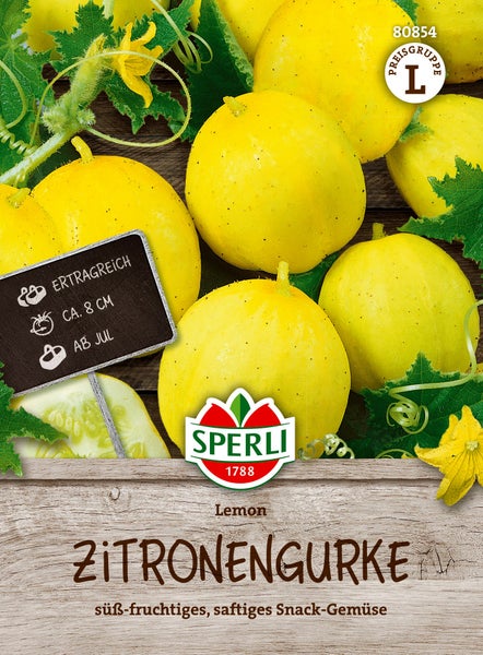 Sperli Saatgut Zitronengurke Lemon für ertragreiche Snackgurken mit etwa 8 Zentimeter Fruchtgröße und Ernte ab Juli.