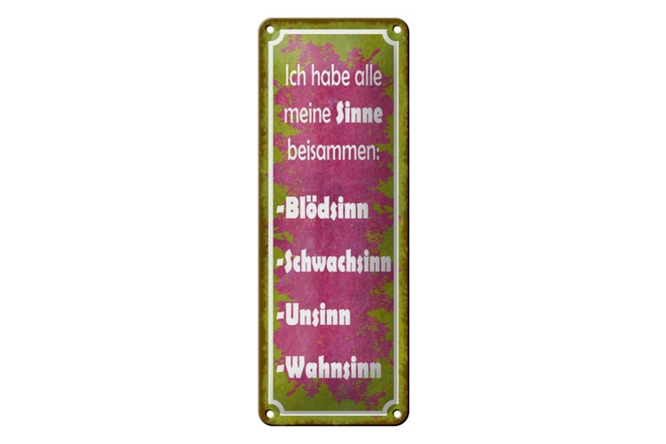 Blechschild Spruch 10x27cm habe alle meine Sinne beisammen Dekoration