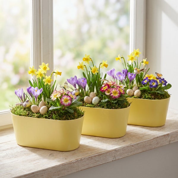 Drei bepflanzte Blumenkästen mit Frühblühern wie Narzissen und Krokussen sowie dekorativen Ostereiern auf einer Fensterbank