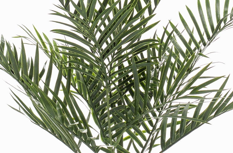 Künstliche Palme mit grünen, gefiederten Blättern.