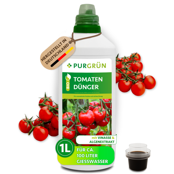 Purgrün Bio Tomatendünger Flüssigdünger für ein Liter Gießwasser, biologischer Dünger mit Vinasse und Algenextrakt für Tomatenpflanzen.