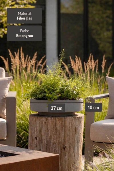 Pflanzschale aus Fiberglas auf einem Holzstamm im Garten, Durchmesser 37 Zentimeter, Höhe 10 Zentimeter.