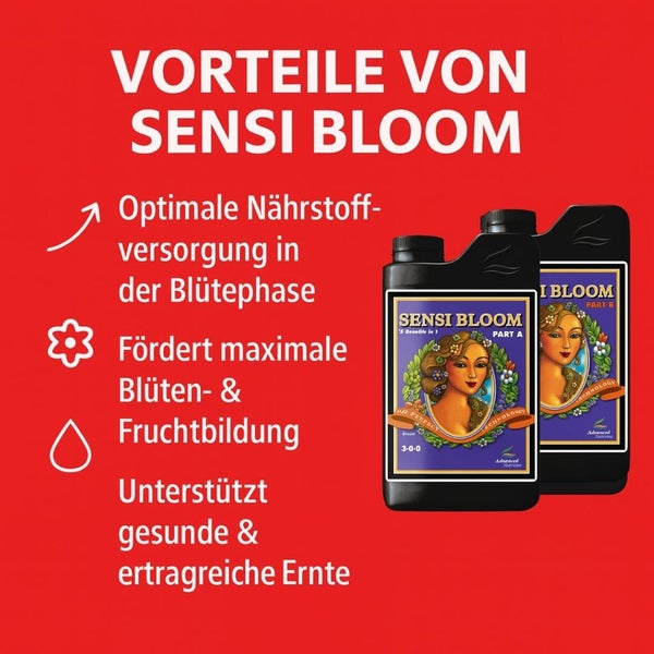 Zwei Flaschen Sensi Bloom Dünger für die Blütephase