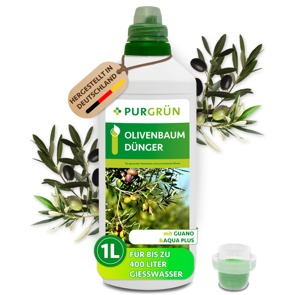 Purgrün Olivenbaum Dünger Flüssigdünger in einer 1 Liter Flasche mit Guano und Aqua Plus für gesundes Wachstum