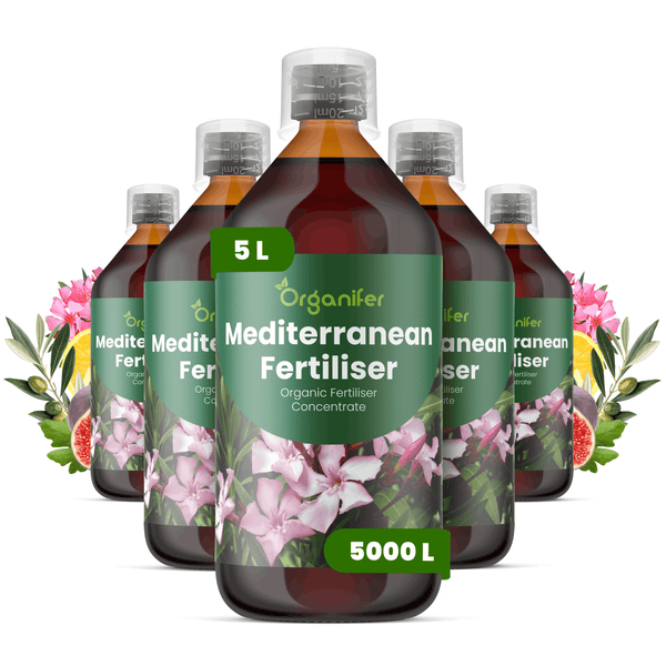 Set mit fünf Flaschen Organifer Mediterraner Dünger Konzentrat, fünf Liter insgesamt, ausreichend für fünftausend Liter Düngerlösung.