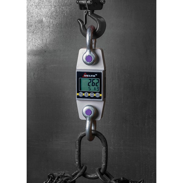 Delta Kranwaage Tragkraft 3t