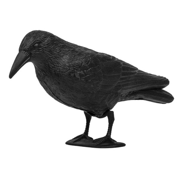 Taubenabwehr Vogelabwehr Krähe Raben Attrappe Taubenschreck Vogelschreck Vogelabwehr Vogelscheuche Tauben vertreiben